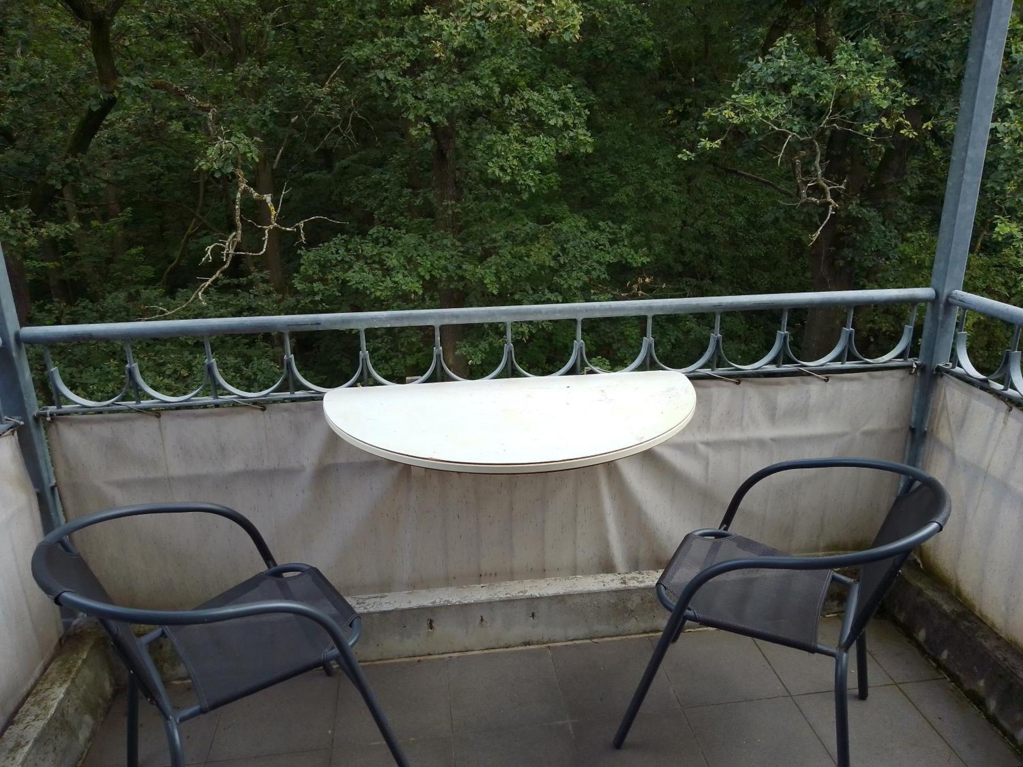 פלאואן Apartment Preisselpoehl מראה חיצוני תמונה